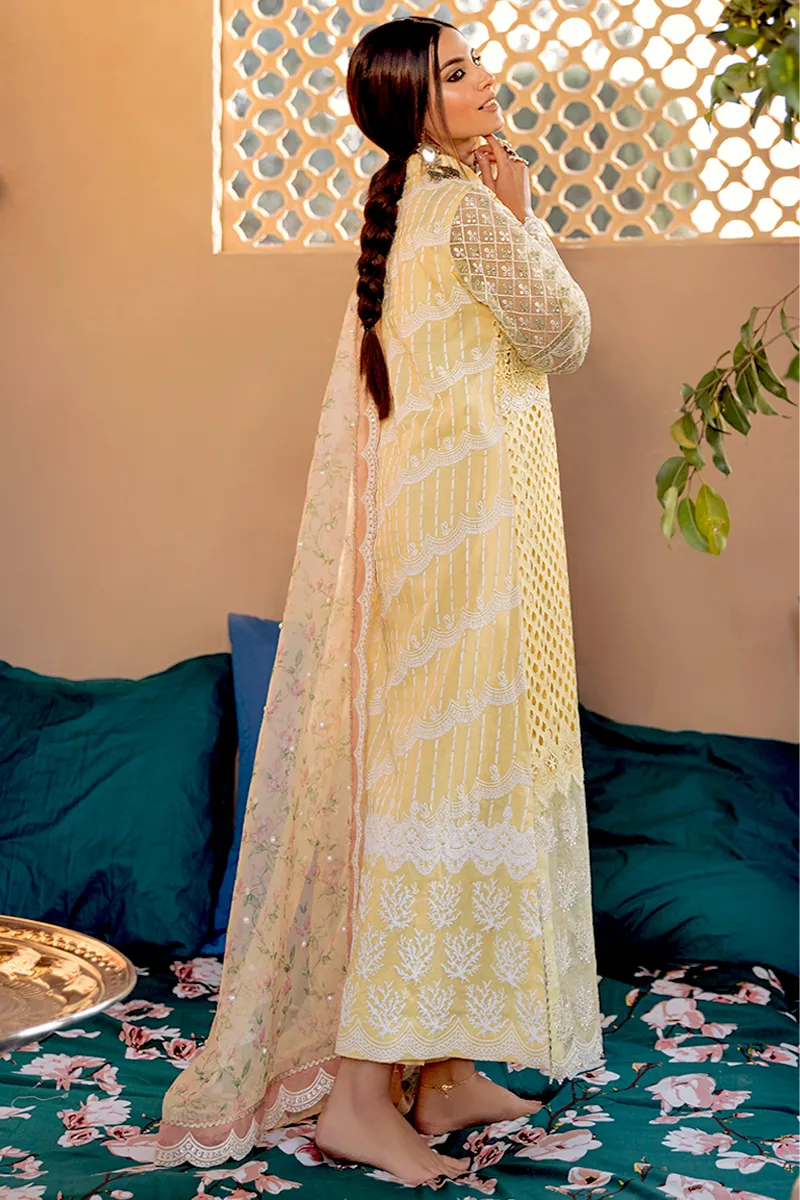 Dilara by Qalamkar Luxury Lawn Collection '21 – HL-05 Noor